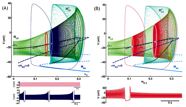 ls-fig2-1